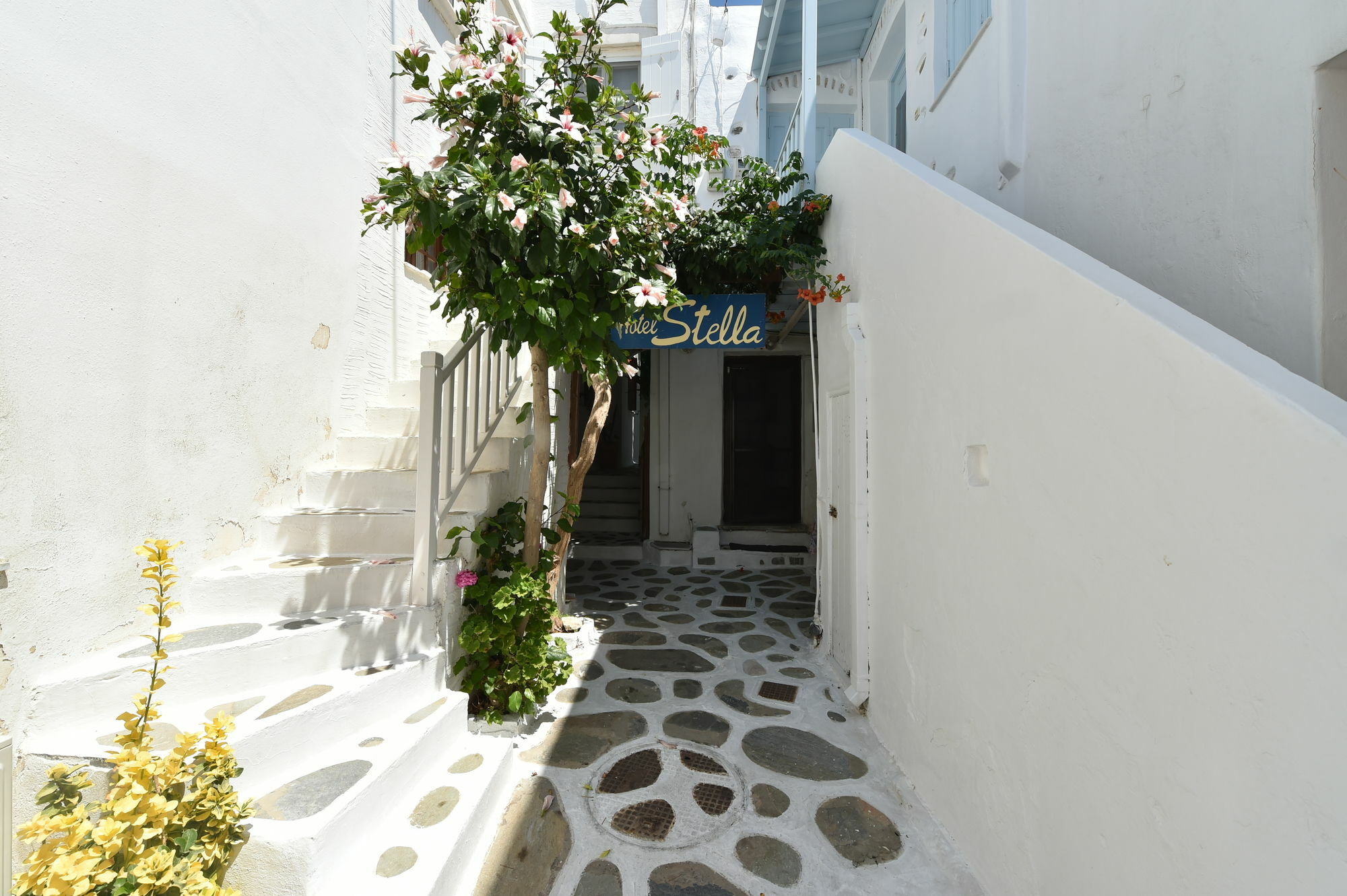 Hotel Stella Naousa  Exterior foto